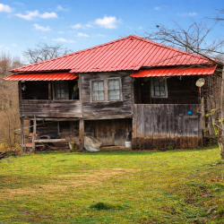 Samsun, Çarşamba, Ordubaşı, 113 Ada, 6 Parsel, 2.500.000 TL