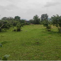 Samsun, Salıpazarı, Kalfalı, 111 Ada, 2 Parsel