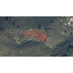 Samsun, Terme, Çamlıca, 129 Ada, 8 Parsel Samsun, Terme, Çamlıca, 129 Ada, 8 Parsel