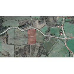 Sinop, Erfelek, Gümüşsuyu, 125 Ada, 10 Parsel Sinop, Erfelek, Gümüşsuyu, 125 Ada, 10 Parsel