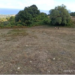 Sinop, Gerze, Belören, 143 Ada, 5 Parsel