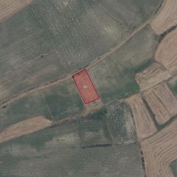 Tekirdağ, Hayrabolu, Kutlugün, 324 Parsel Tekirdağ, Hayrabolu, Kutlugün, 324 Parsel
