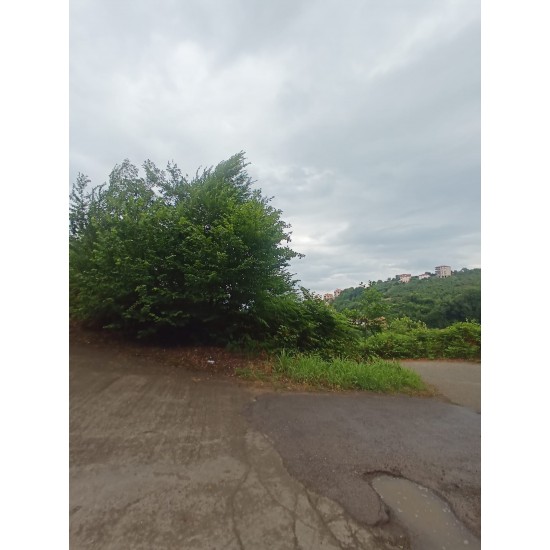 Trabzon, Araklı, Buzluca, 837 ada, 11 parsel