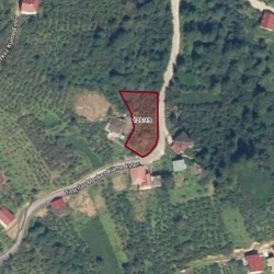 Trabzon, Dernekpazarı, Taşcılar, 126 Ada, 19 Parsel