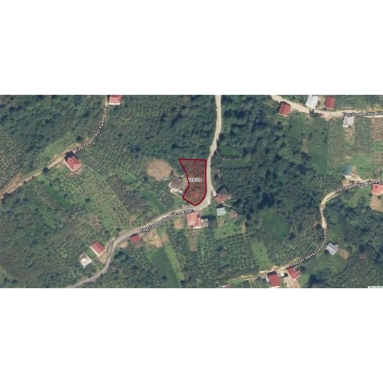 Trabzon, Dernekpazarı, Taşcılar, 126 Ada, 19 Parsel