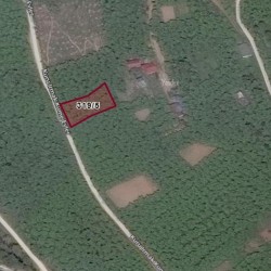 Trabzon, Yomra, Taşdelen, 319 Ada, 5 Parsel