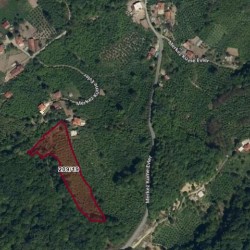 Zonguldak, Ereğli, Karakavuz, 209 Ada, 19 Parsel