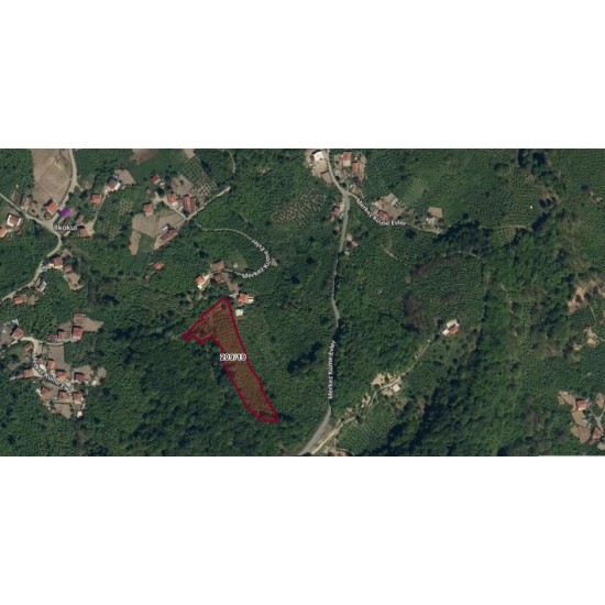 Zonguldak, Ereğli, Karakavuz, 209 Ada, 19 Parsel